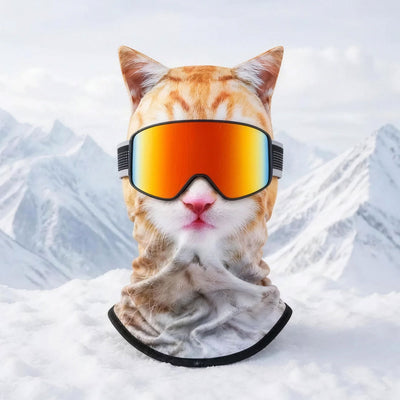 Ginger cat
