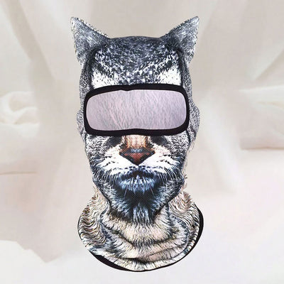 Black cat